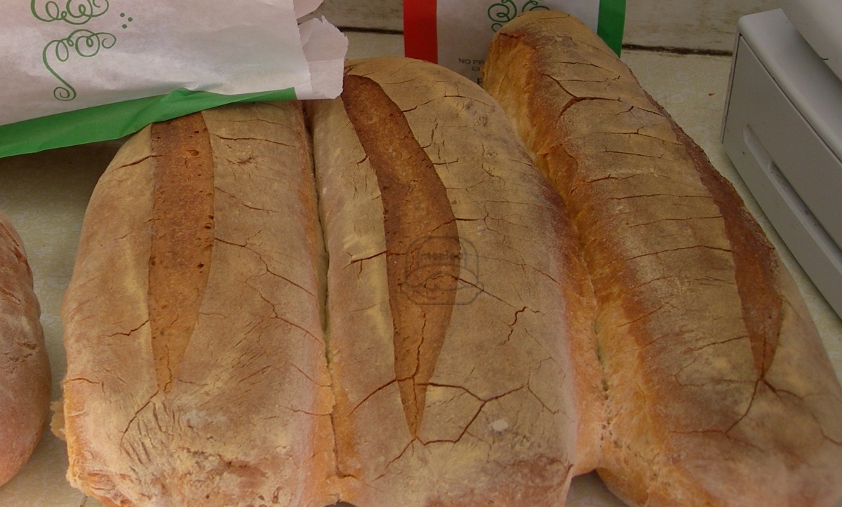 Bread
