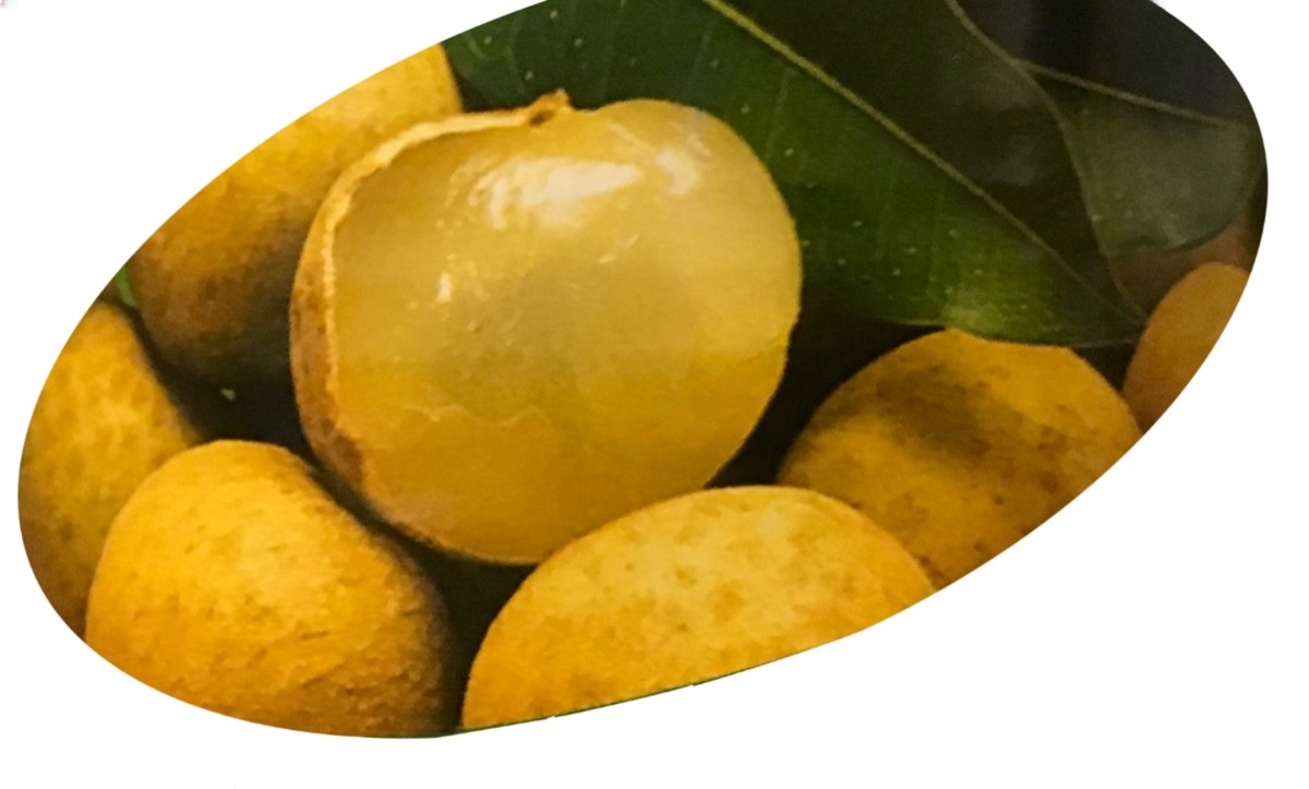 Longan (Asian Fruit)