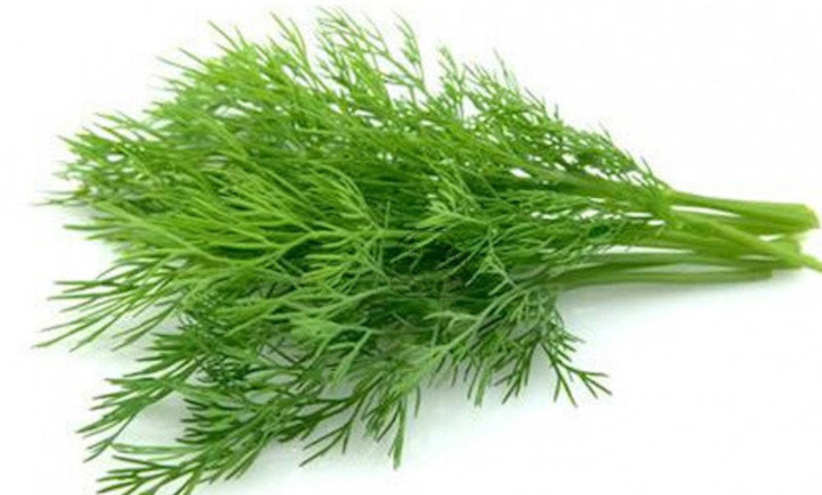Dill