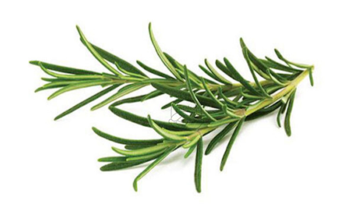 Rosemary