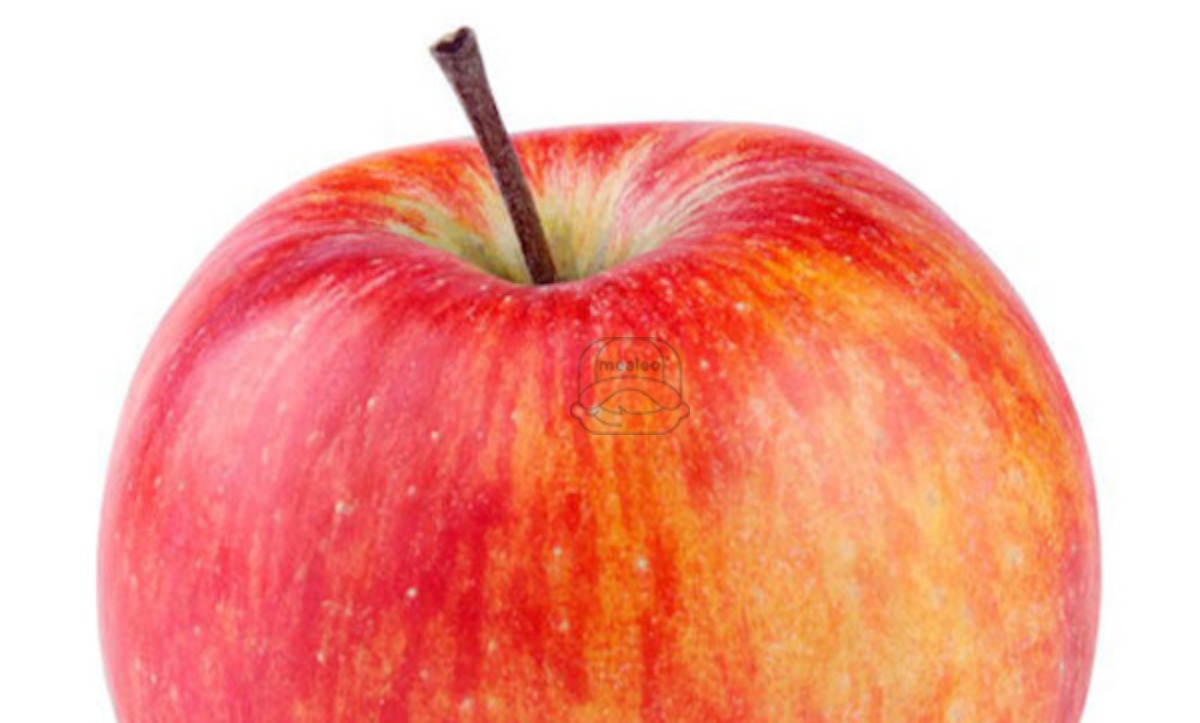 Apple Macintosh