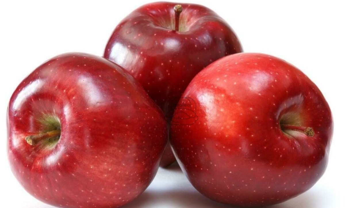 Apple Red Delicious