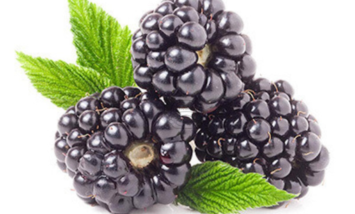 Blackberries