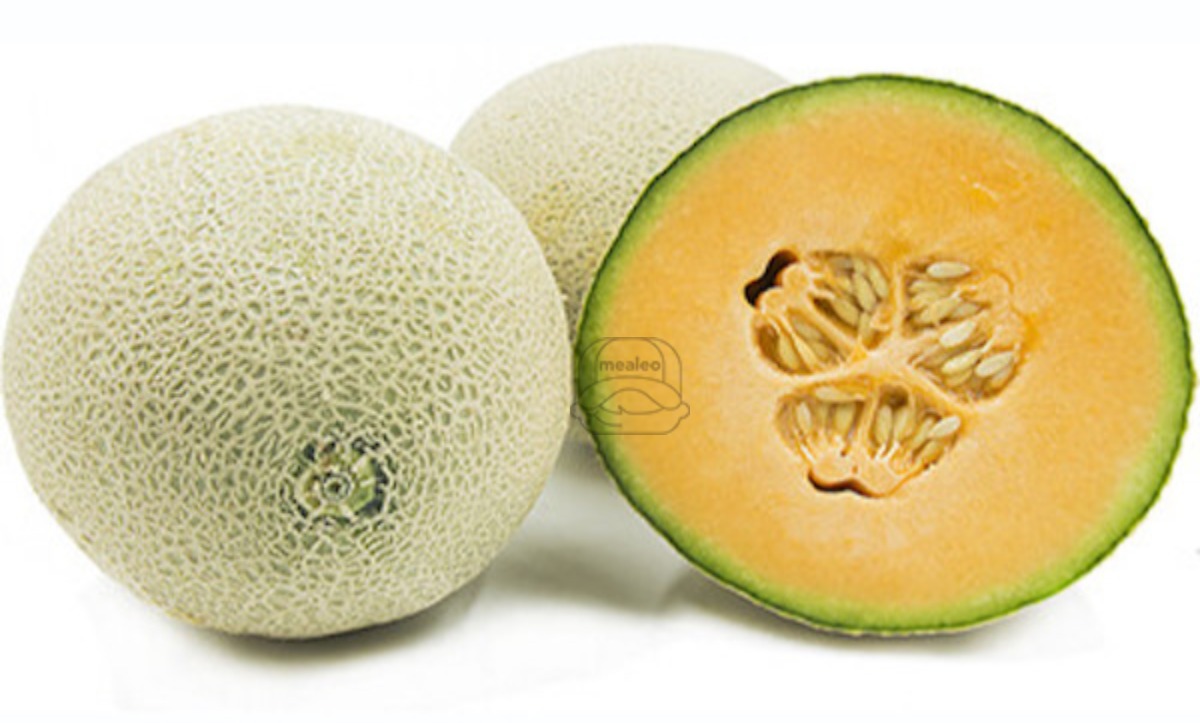 Cantaloupe