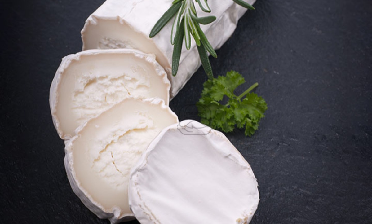 Chevre Plain Cheese