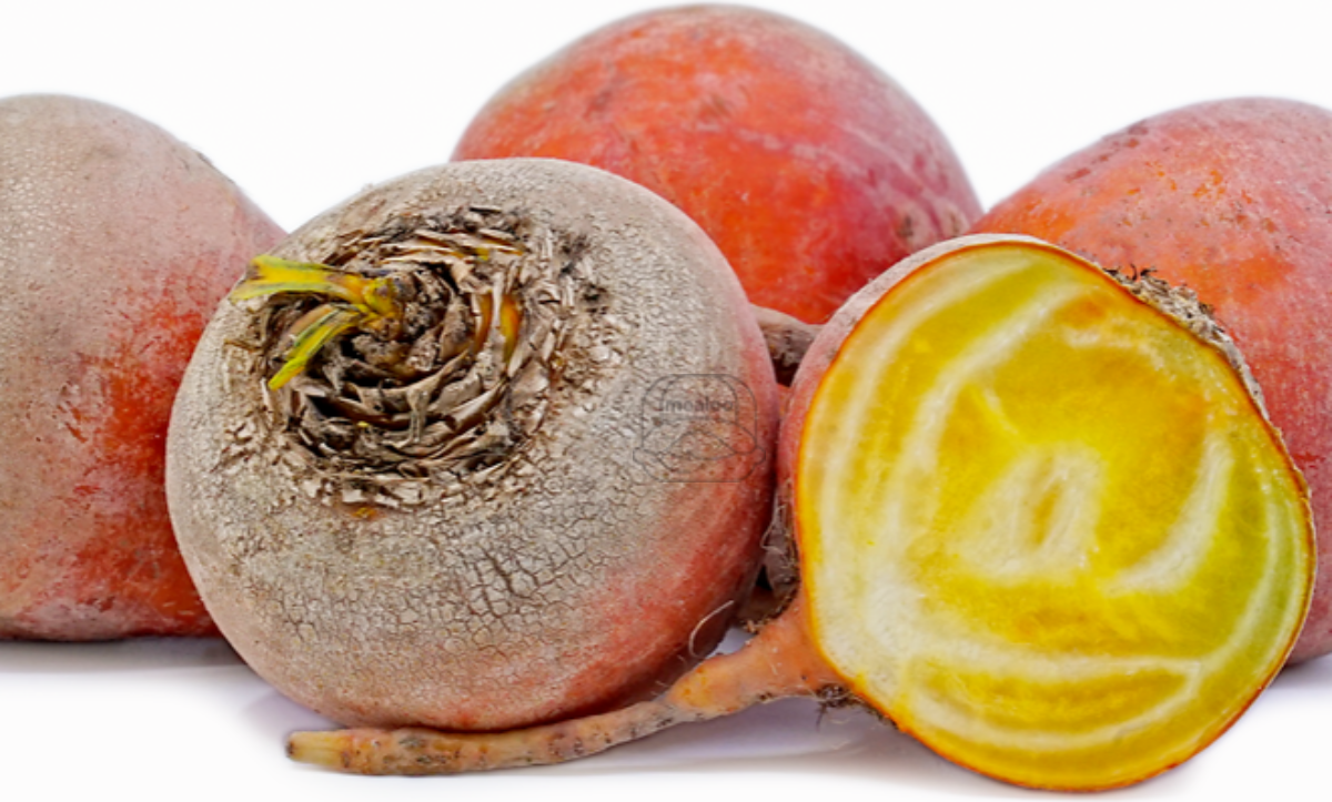 Beet Golden