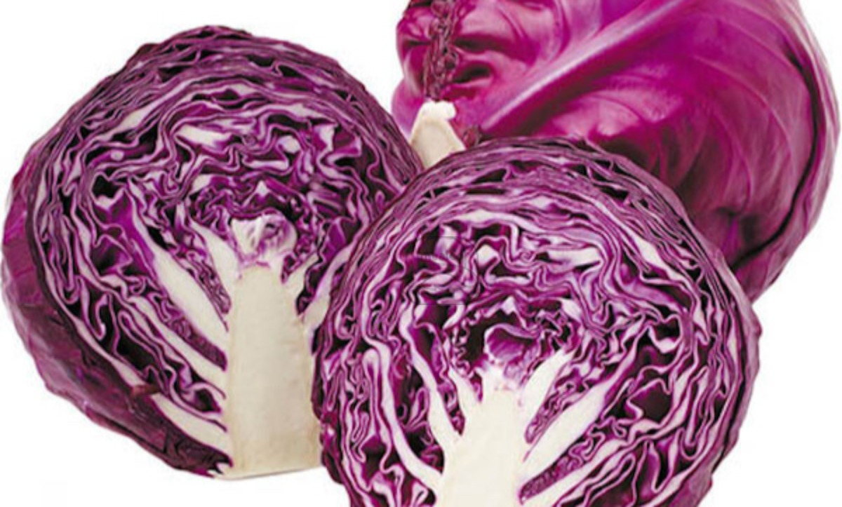 Cabbage Red