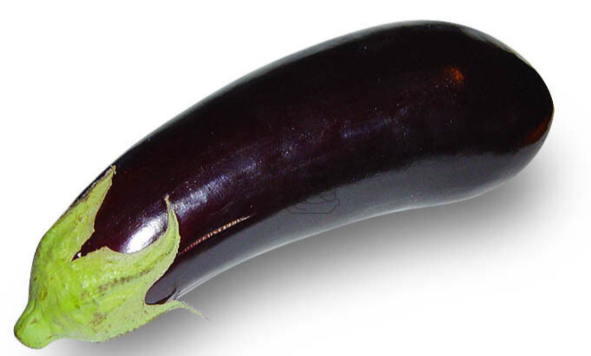 Eggplant