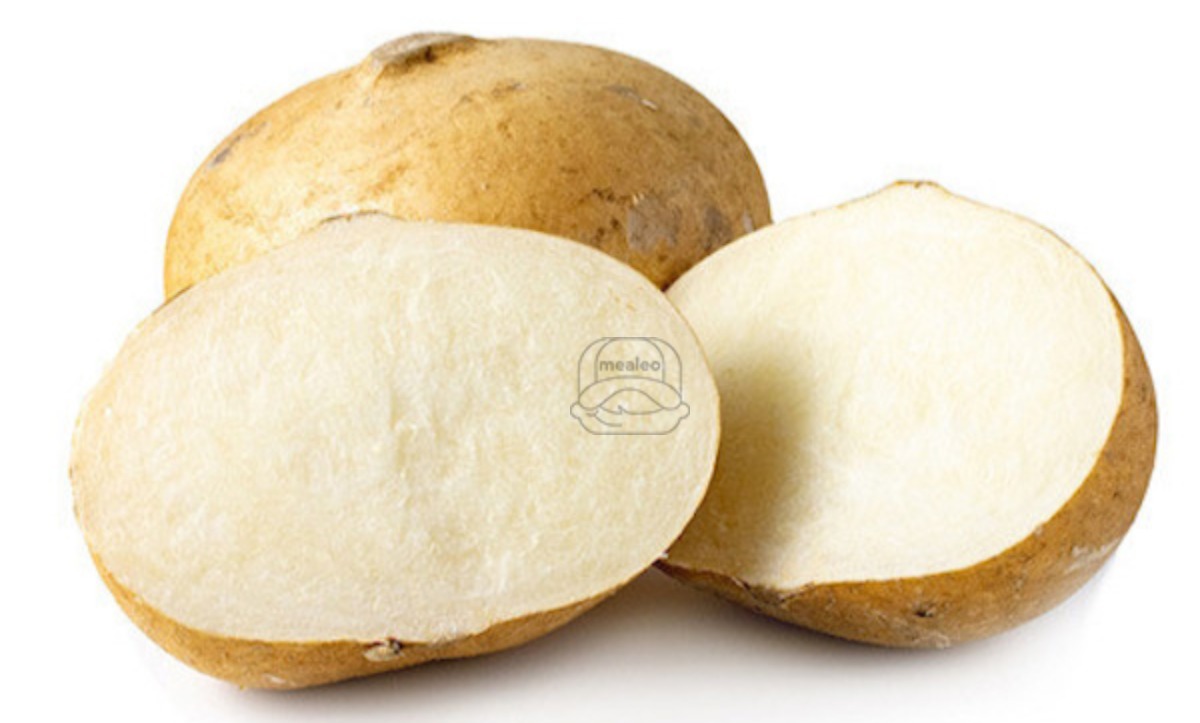 Jicama XXXLG