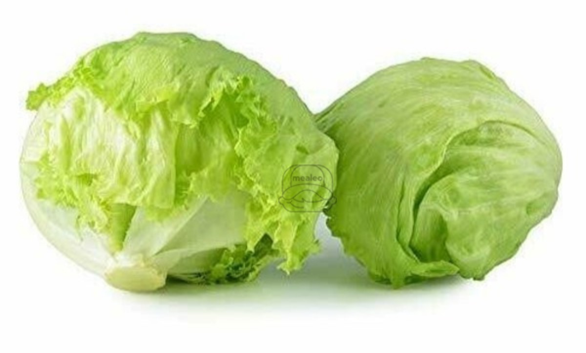 Lettuce Iceberg