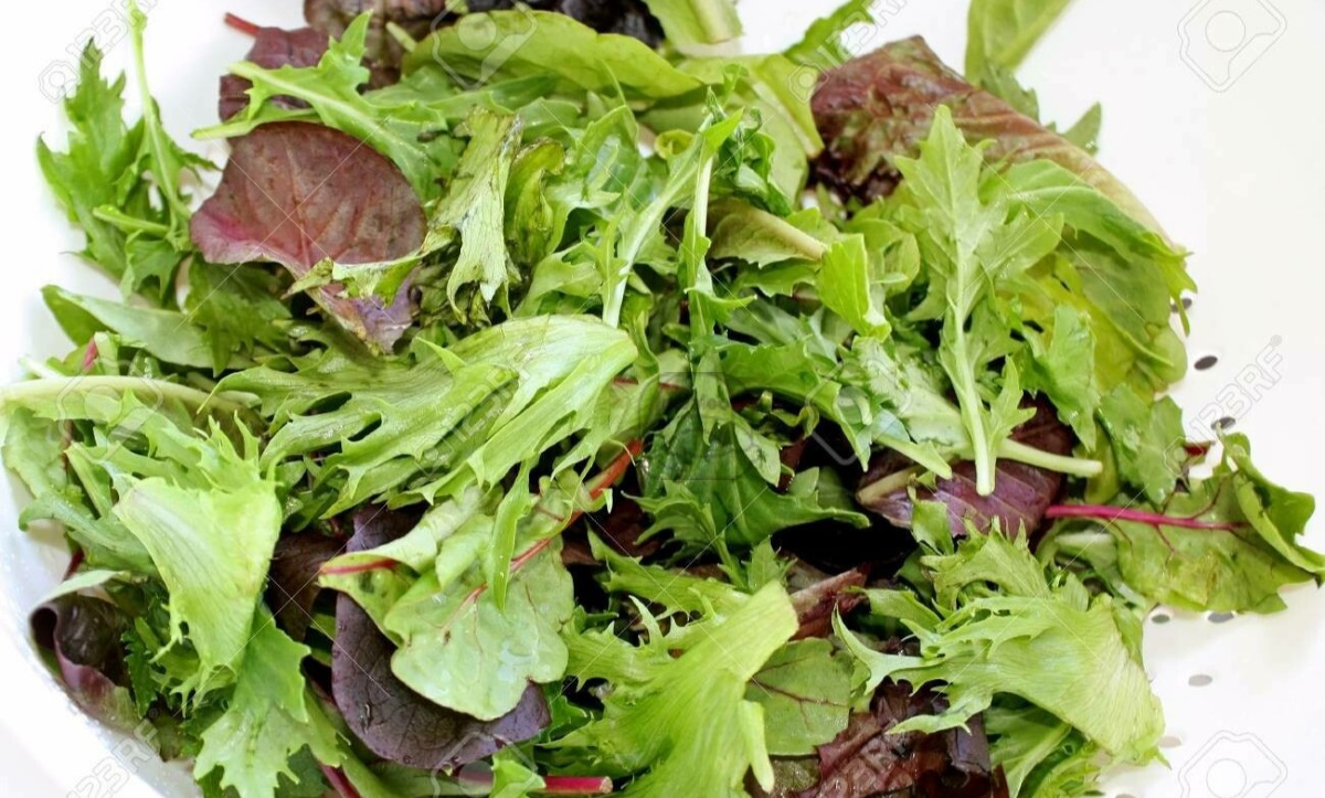 Lettuce Mesclun/Spring Mix