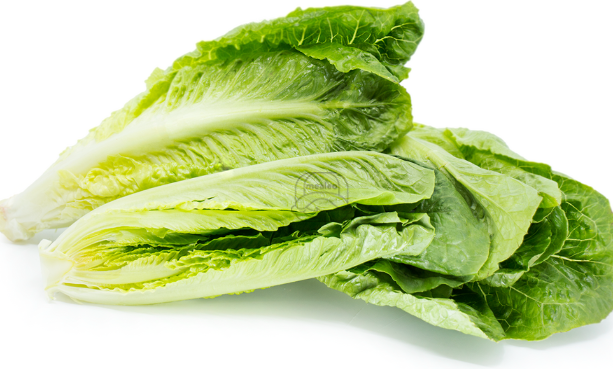 Lettuce Romaine Hearts