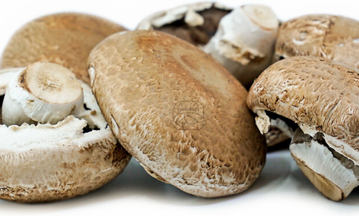 Mushroom Portabella