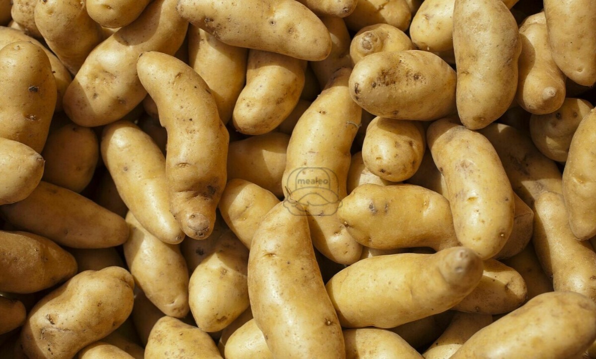 Potato Fingerling