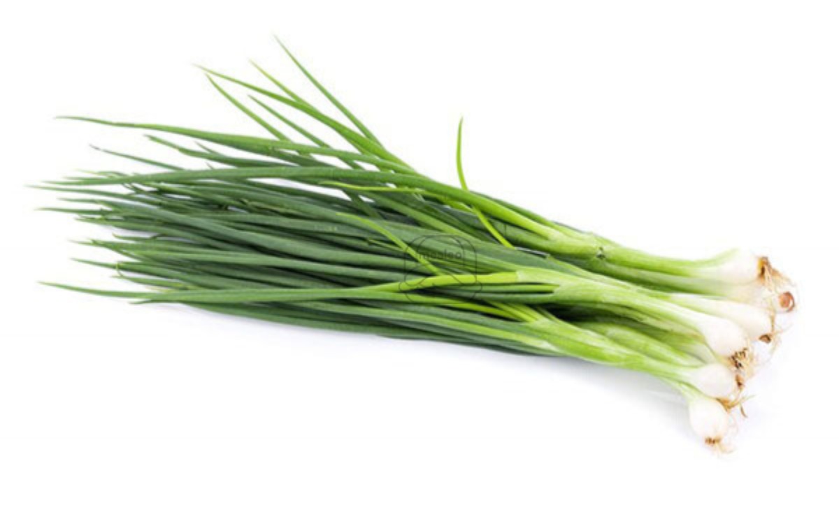Scallions
