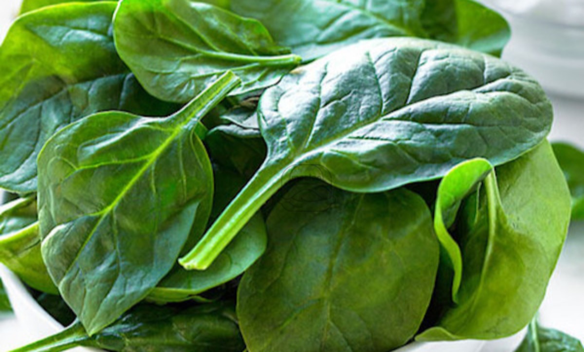 Spinach Salad Calif