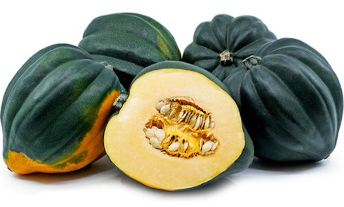 Squash Acorn