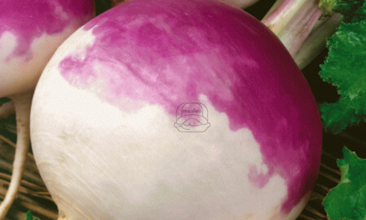 Turnip Purple Top