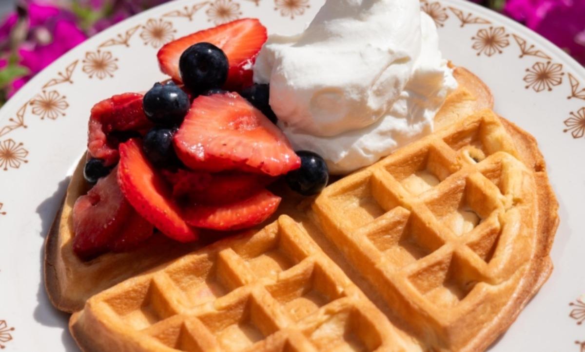 Single Belgian Waffle