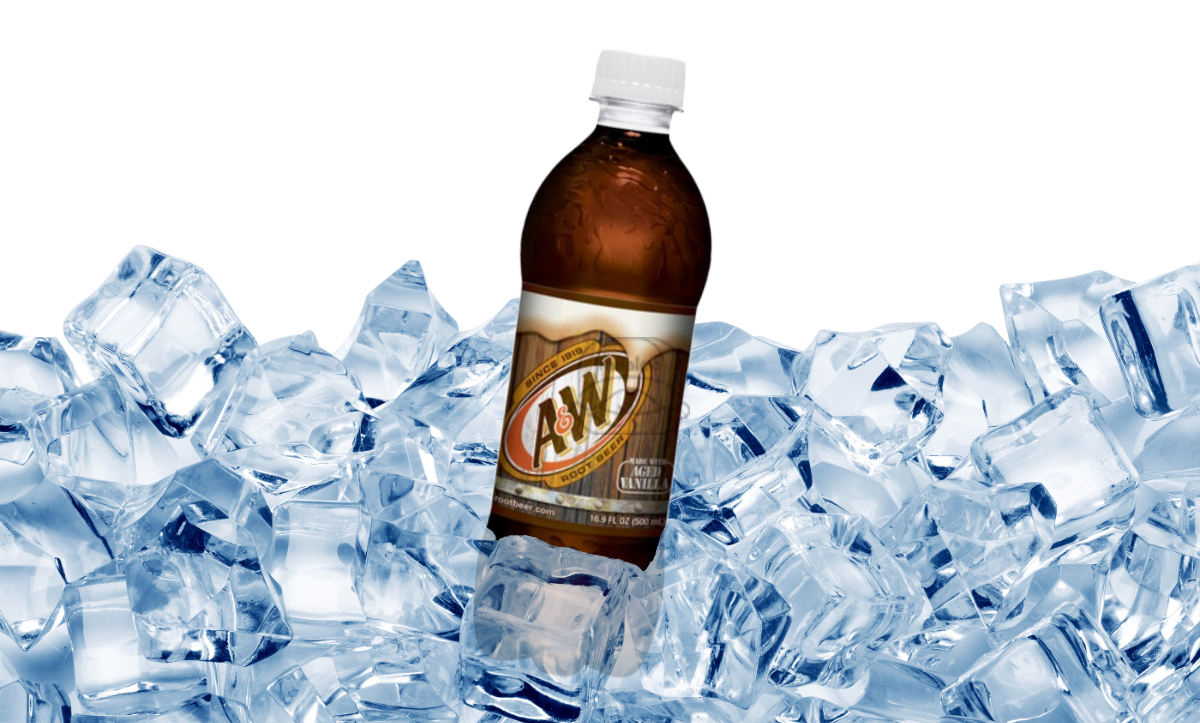 20 oz Bottled Soda