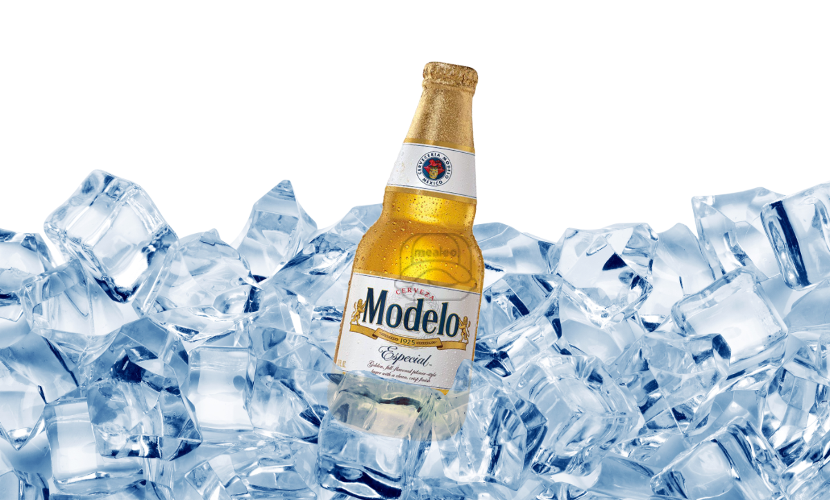 Modelo Especial