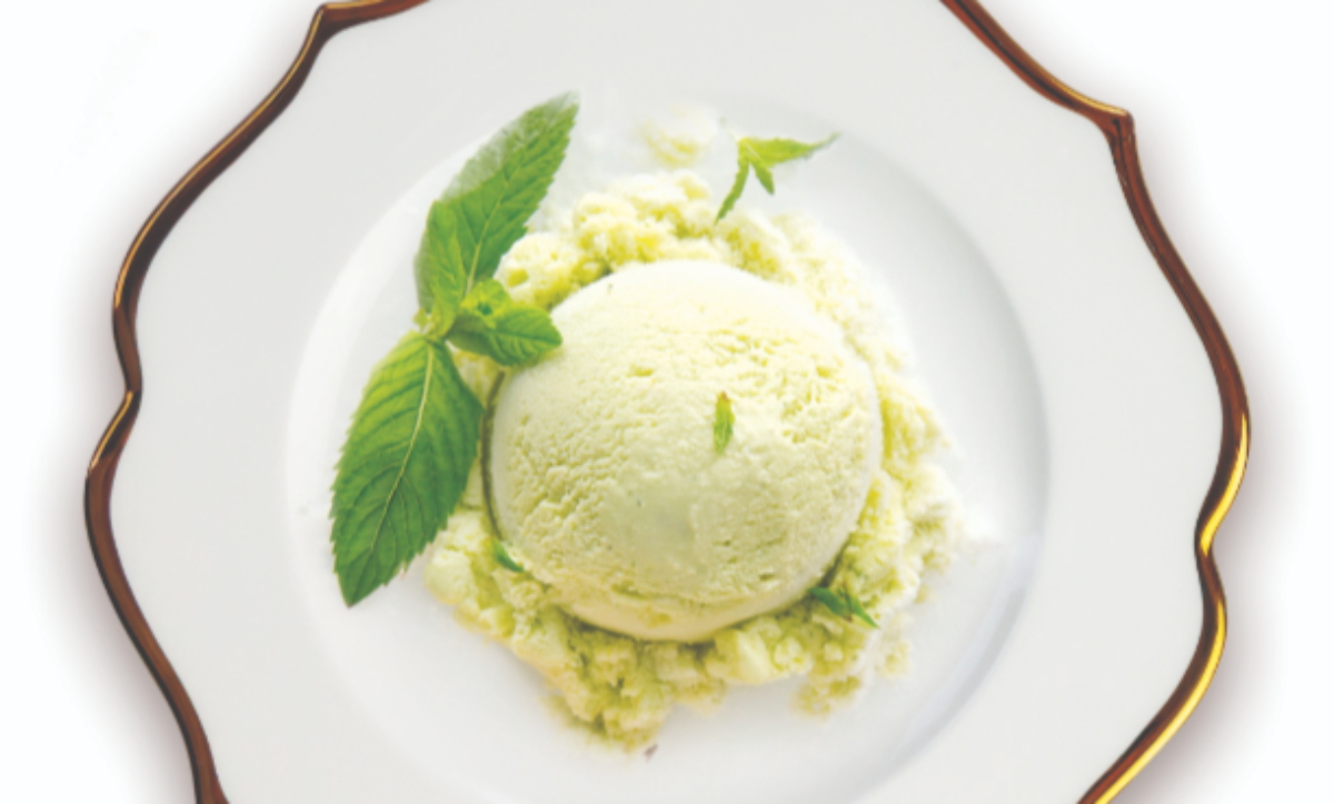 Ice Cream Scoop