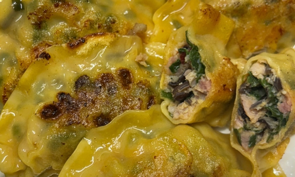 Pan Fried Spicy Chicken Dumpling (6)