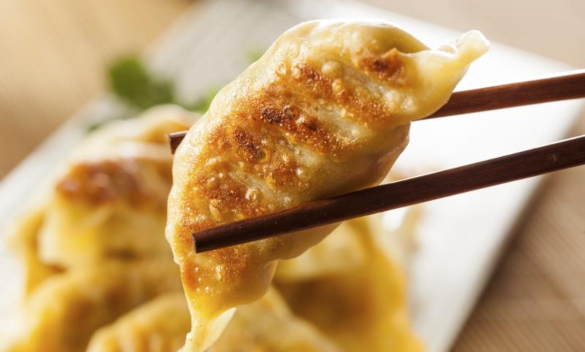 A5. Chicken Dumplings (5)