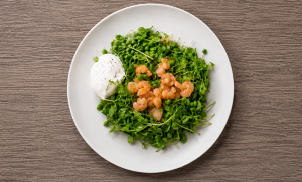 Burrata Plate